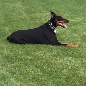 Meet your Posher, Nancy